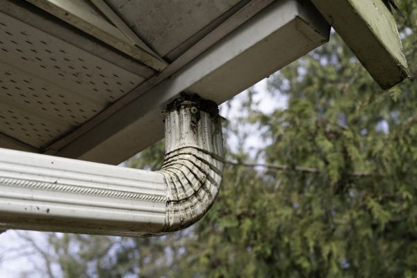 Roof Drain Replacement in Salisbury