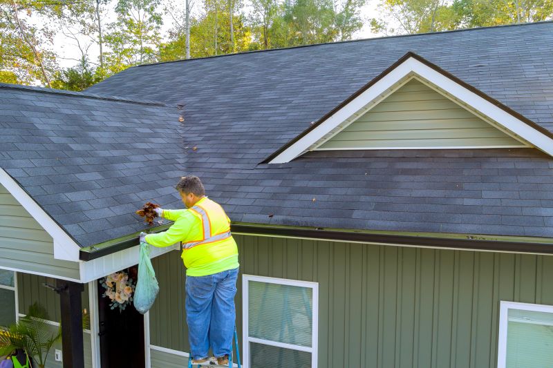 Handyman Services for Gutter Maintenance